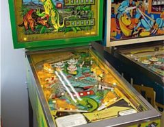 Looking for pinball The Villages Florida