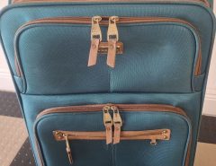 Steve Madden 24inch Spinner Checked Luggage The Villages Florida