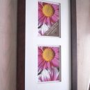 Double Matted Photo Frame; You Supply the Pictures The Villages Florida