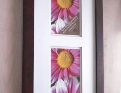 Double Matted Photo Frame; You Supply the Pictures The Villages Florida