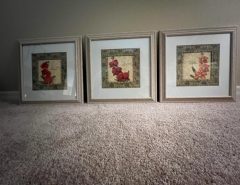 Set of 3 Floral Framed Art The Villages Florida