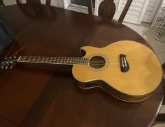 Olympia Acoustic/electric Guitar The Villages Florida