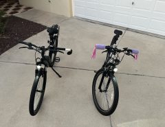 2 -Single speed matching Hurley Thruster E-bikes The Villages Florida