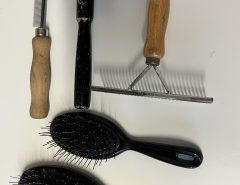 Grooming brushes The Villages Florida