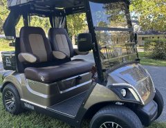 2018 YAMAHA QuieTech! The Villages Florida