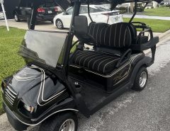 Electric Golf Cart The Villages Florida