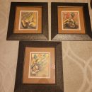 Framed & Matted Golf Pictures The Villages Florida