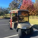 2012 EZGO Freedom RXV The Villages Florida