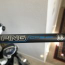 Ping GMAX irons The Villages Florida