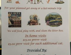 Cat Sitter The Villages Florida