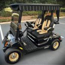 2018 Yamaha QuieTech Drive2 EFI Gas Golf Cart: Like New Condition The Villages Florida