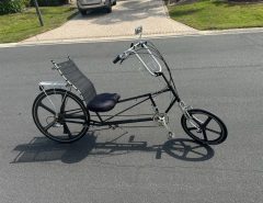 Recumbent Easy Racer Bicycle The Villages Florida