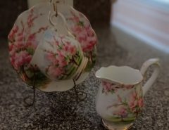 Royal Albert Cup and Saucer The Villages Florida