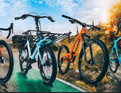 WANTED:  Large Men’s Bike / bicycle cheap The Villages Florida