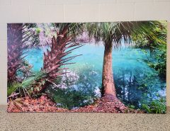 XL Canvas Print Wall Art 72″x41″ Colorful, Tropical, Natural Springs The Villages Florida