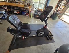 Schwinn 230 Recumbent Bike- The Villages Florida