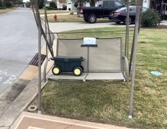 Bird Cage Swing The Villages Florida