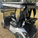 Great Golf Cart…Great Price!!! The Villages Florida