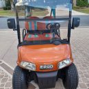 2015 EZGO RXV Cart The Villages Florida