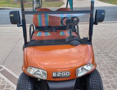 2015 EZGO RXV Cart The Villages Florida