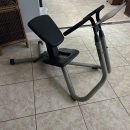 Precor stretch machine The Villages Florida