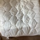 King mattress pad The Villages Florida