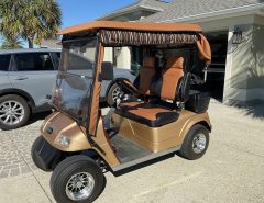 2015 STAR 48V Electric The Villages Florida