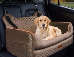 Med Dog Car Seat The Villages Florida