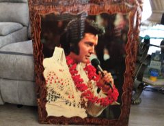 ELVIS The Villages Florida