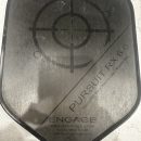 Engage Pursuit RX 6.0 Pickelball Paddle The Villages Florida