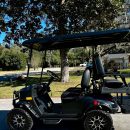 Golf Cart Electric The Villages Florida