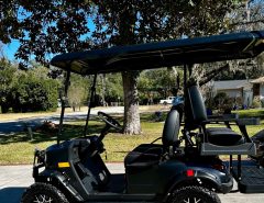 Golf Cart Electric The Villages Florida