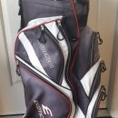 EXOTICS GOLF BAG The Villages Florida