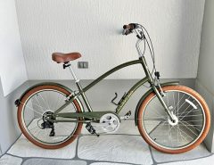 Townie Mens Bicycle The Villages Florida