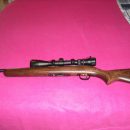 Savage Model 64F 22LR Rifle The Villages Florida