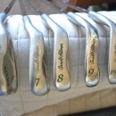 Arnold Palmer Tour Classic Golf Irons 6-PW The Villages Florida