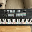 YAMAHA KEYBOARD MODEL PSS 570 The Villages Florida