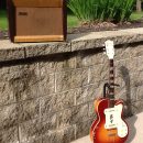 Unwanted guitars The Villages Florida