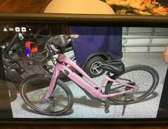 E bike The Villages Florida