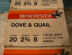 Winchester 20 gauge shotshells 8 boxes The Villages Florida