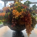 Fruited bowl The Villages Florida