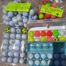 Garage Sale- Saturday, April 12th,  8:00 a.m.-1:00pm 2087 Trout Court-Pennecamp The Villages Florida