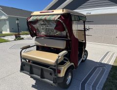 Electric Golf Cart The Villages Florida