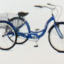 Schwann Meridian Trycicle The Villages Florida