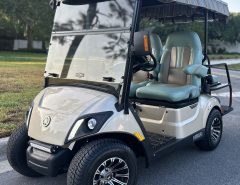 2017 YAMAHA QuieTech! LOW HOURS! The Villages Florida