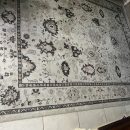 Rug The Villages Florida