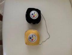 Pittsburgh Steelers Fuzzy Dice The Villages Florida