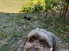 img4781