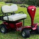 Cricket ADA 2 person cart The Villages Florida