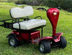 Cricket ADA 2 person cart The Villages Florida